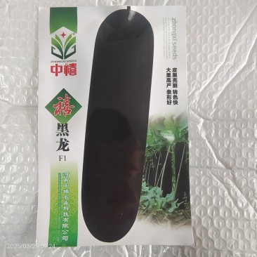 杂交黑皮冬瓜种子黑亮老品种新改良100粒