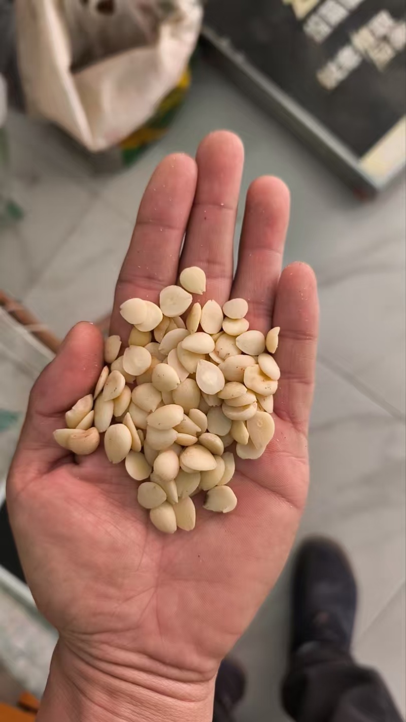 【杏仁】带皮苦杏仁去皮炒苦杏仁带皮甜杏仁