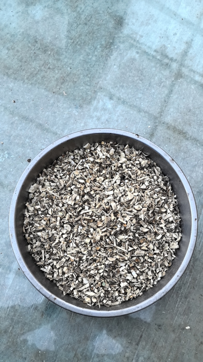 刺五加基地直发货源充足