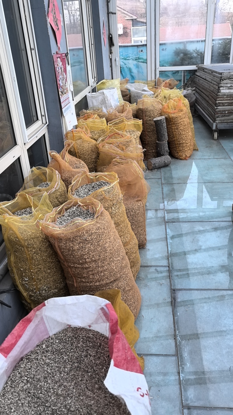 刺五加基地直发货源充足