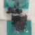 珍品1号丝瓜种子杂交种早生瓜多5克