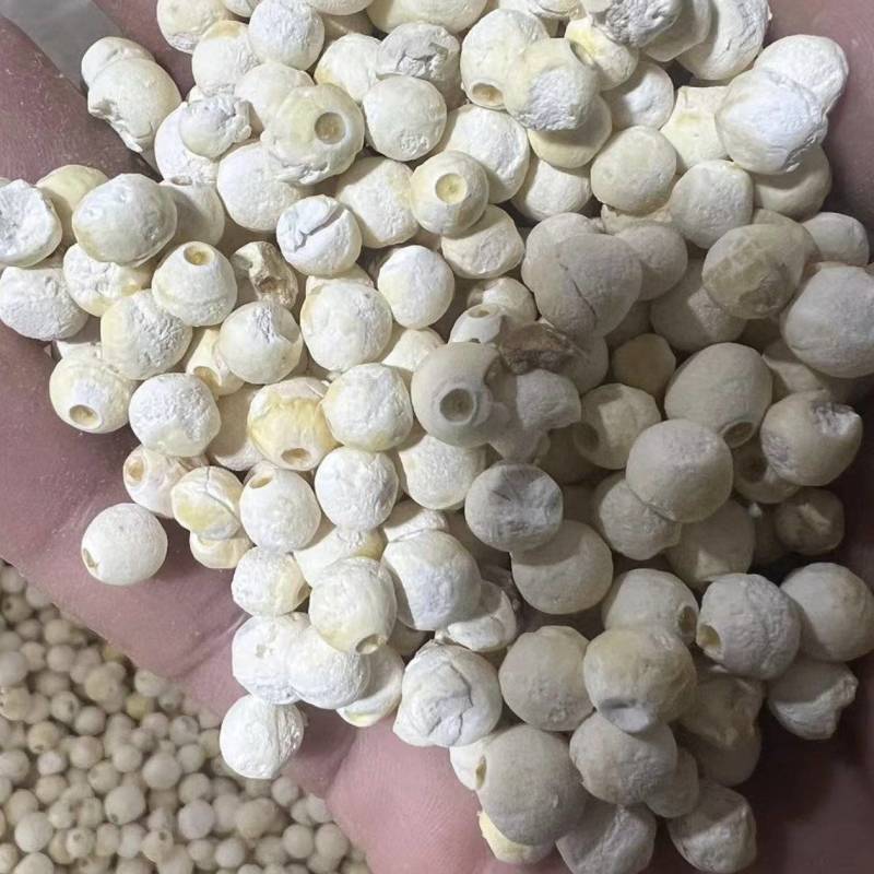 茨实，价格优惠，全国发货！