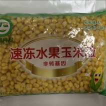 超干速冻甜玉米粒含微量冰厂家直发量大从优，欢迎联系