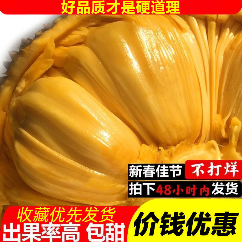 海南三亚新鲜黄肉菠萝蜜应当季热带水果大树木菠萝整箱一整个