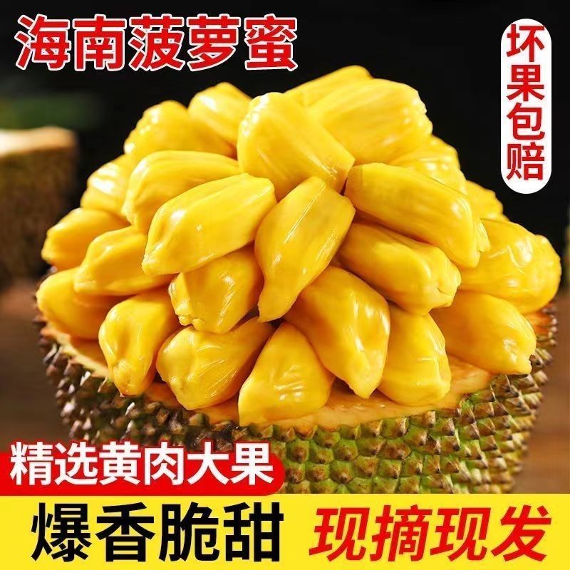 海南三亚新鲜黄肉菠萝蜜应当季热带水果大树木菠萝整箱一整个