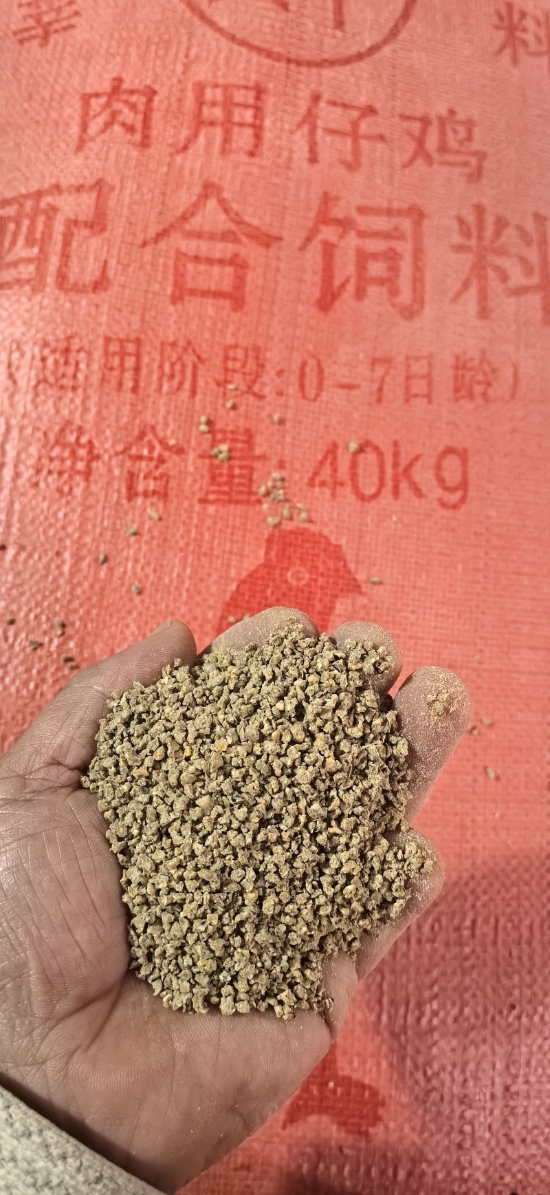 小鸭开口料。