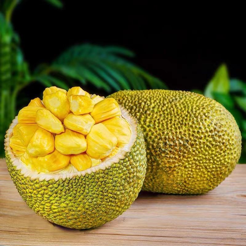海南黄肉菠萝蜜热带新鲜水果10-38斤新鲜应季水果一整个