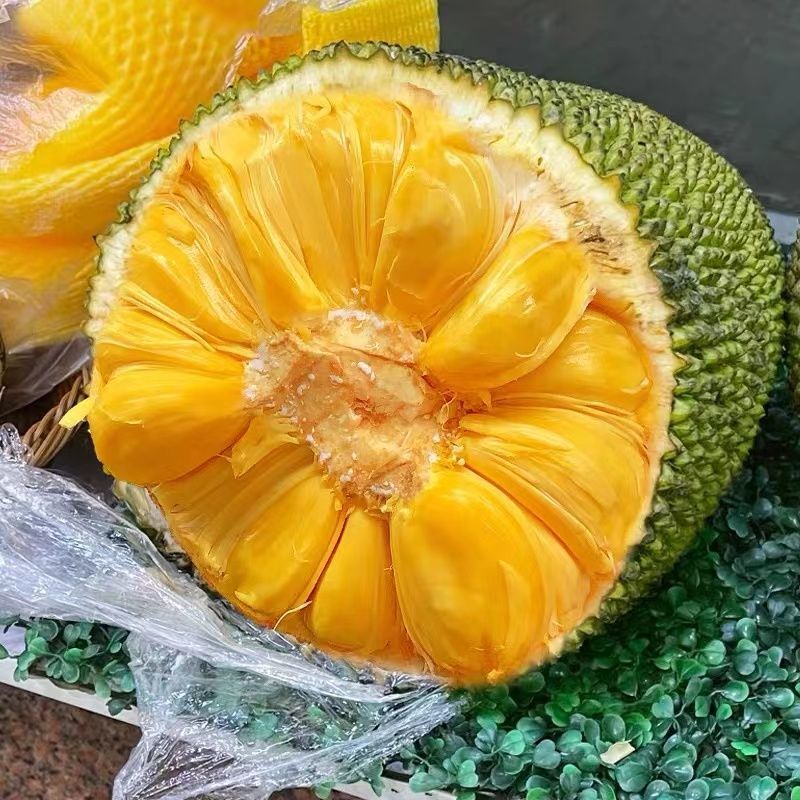 海南黄肉菠萝蜜热带新鲜水果10-38斤新鲜应季水果一整个