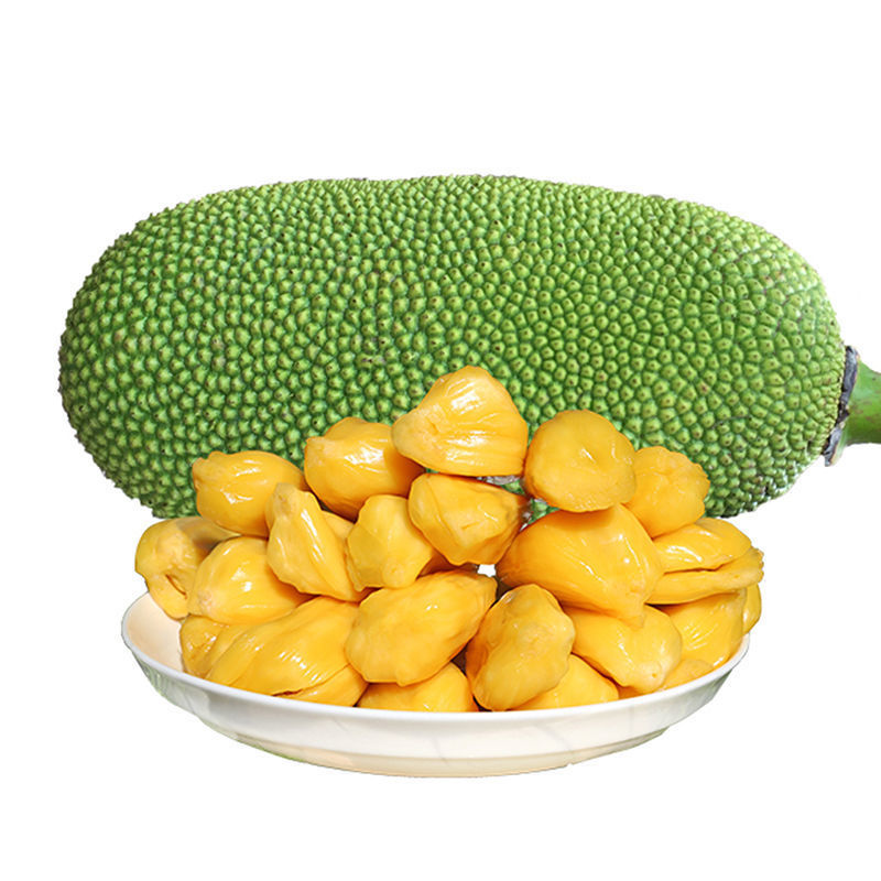 海南黄肉菠萝蜜热带新鲜水果10-38斤新鲜应季水果一整个