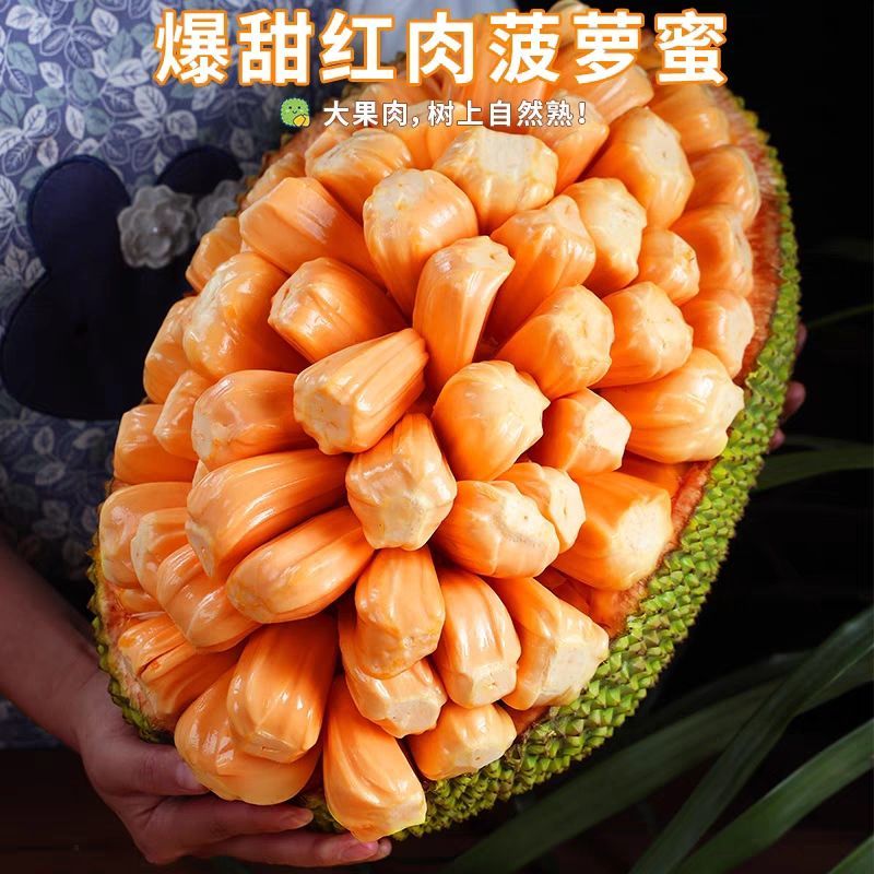 海南红肉菠萝蜜8-20斤一整个红心泰八波罗蜜当季新鲜水果