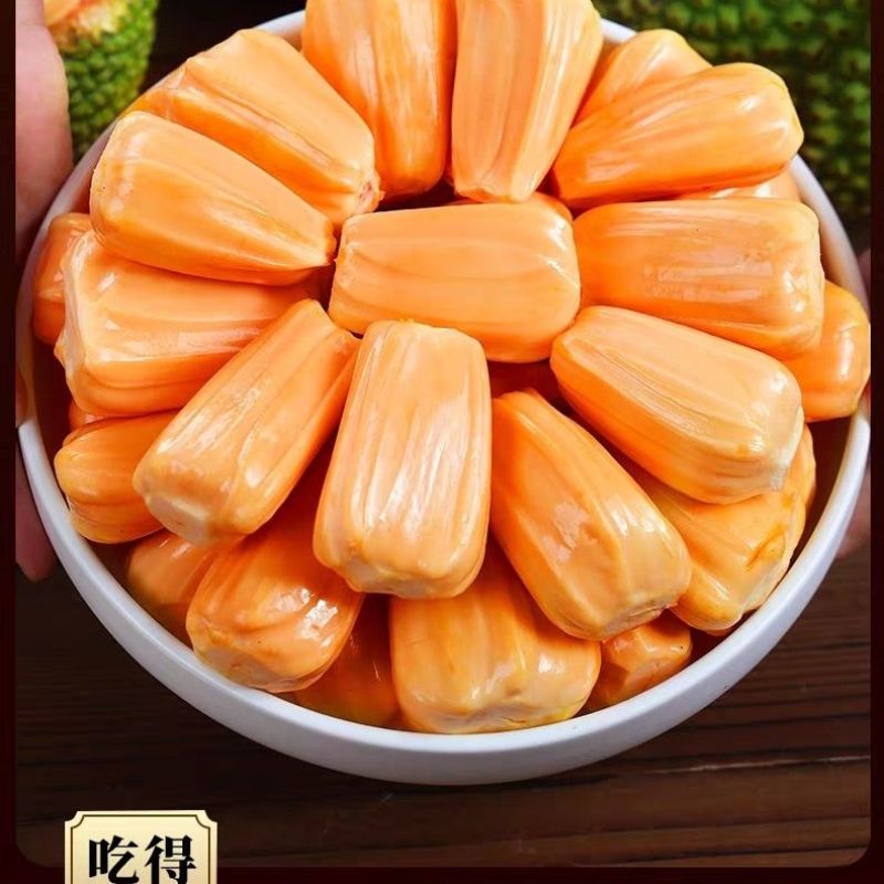 海南红肉菠萝蜜8-20斤一整个红心泰八波罗蜜当季新鲜水果