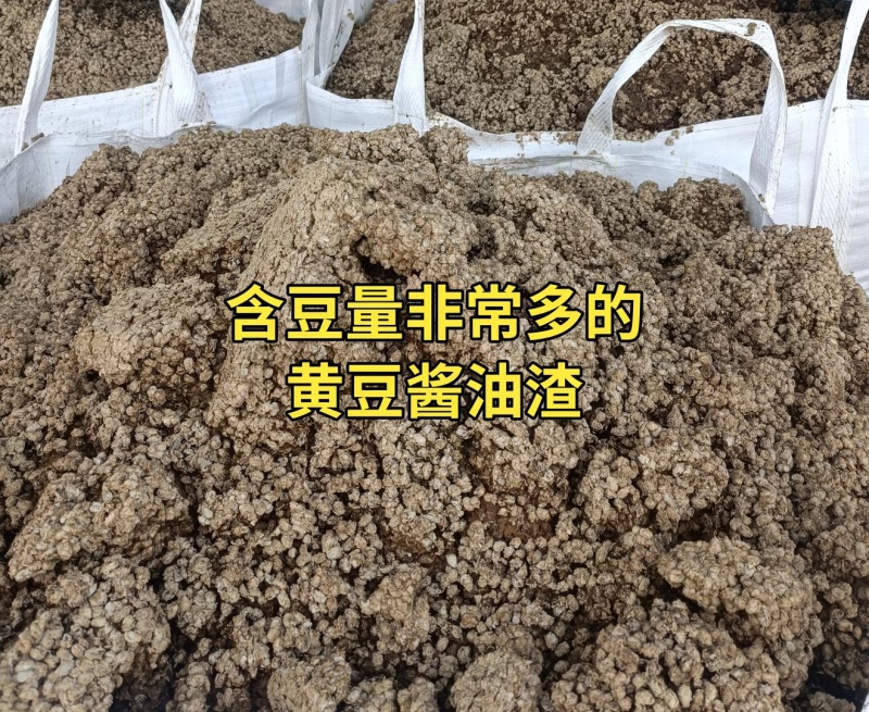 黄豆酱油渣，含豆量非常高，黄豆发酵，蛋白质高，有包装运输