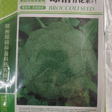 【】青花菜种子炎秀西兰花种子西蓝花种子