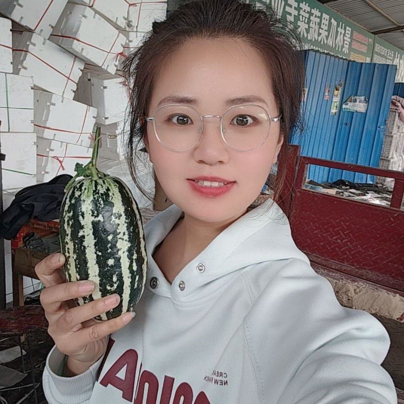 博洋9号甜瓜