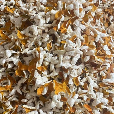 精品三花皮产地直发一手货源量大从优规格齐全