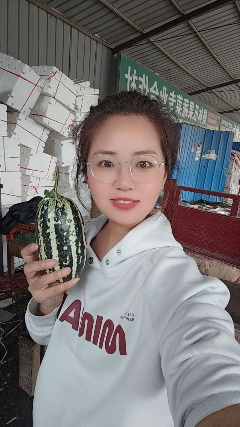 博洋9号甜瓜