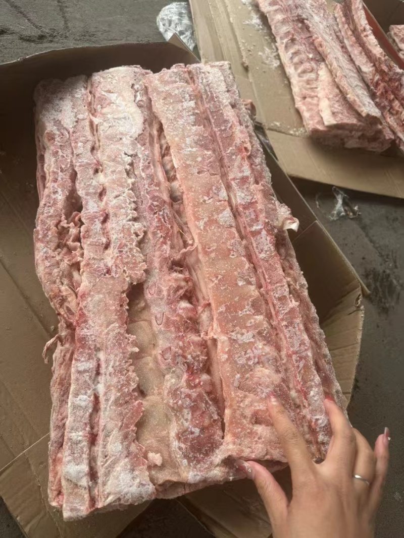 猪背骨