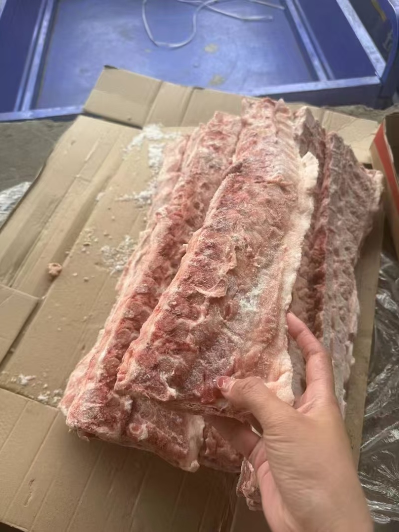 猪背骨