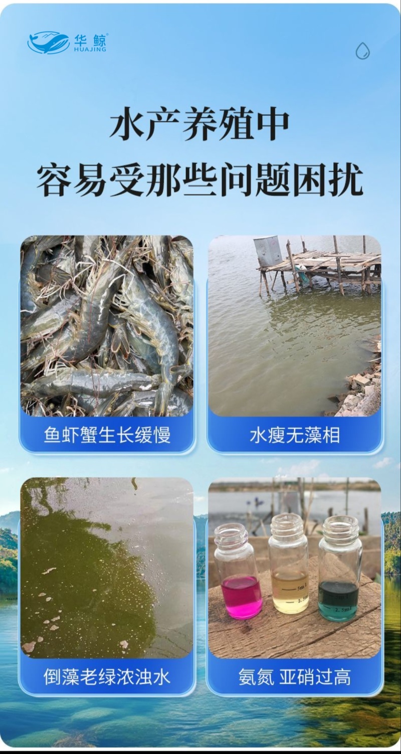 一泼肥水产养殖用腐殖酸钠调水肥水培藻厂家直销