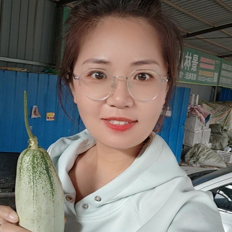 博洋61甜瓜