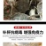地璜甘速康鱼虾蟹提高免疫水产饲料添加剂保肝护胆排毒
