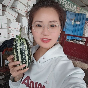 博洋9号博洋蜜瓜