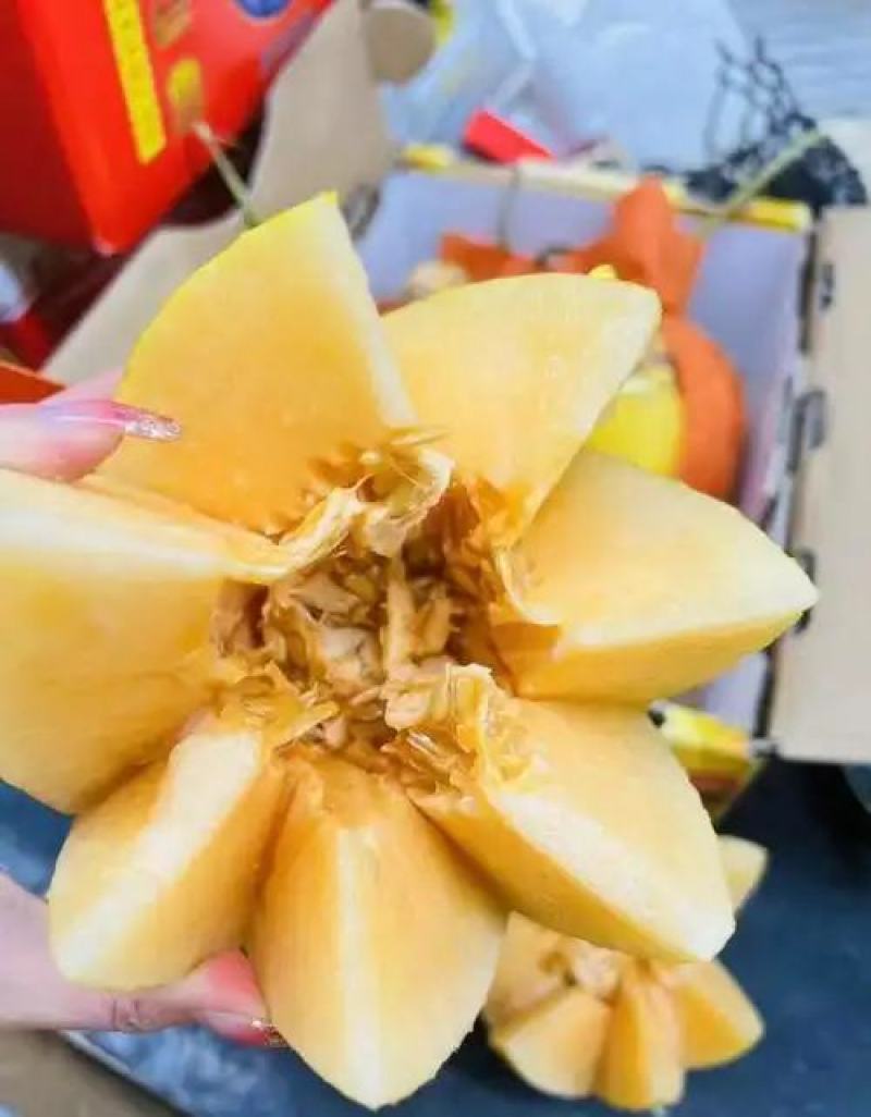 山东莘县黄哈密瓜.俗称黄25，对接电商商标，产地直采
