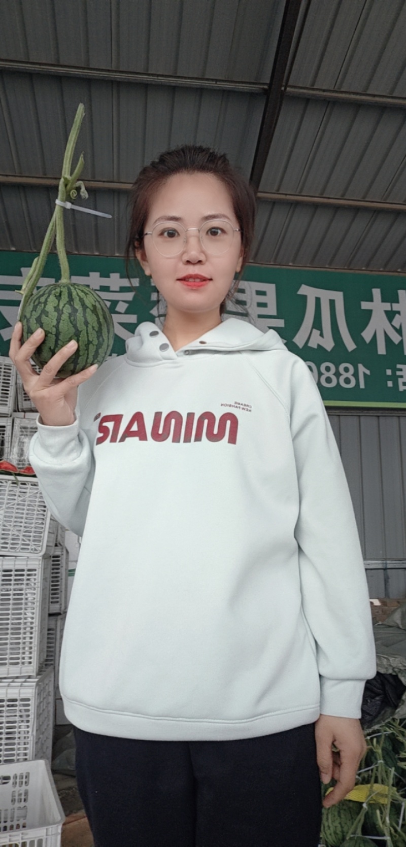 西瓜2k糖丸小西瓜礼品小西瓜