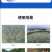 解毒调水改水解独碧水安鱼虾蟹塘净化水质厂家直销包邮