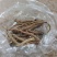 重庆干前胡，两吨起批，产地直供，品质保证。