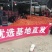 山东莘县硬粉沙瓤西红柿品质保证服务周到产地直发