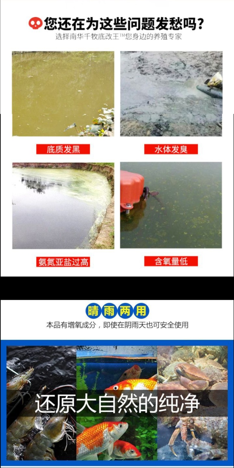 超强改底片水产养殖过硫酸氢钾龙虾蟹鱼塘净水剂增氧除臭调水