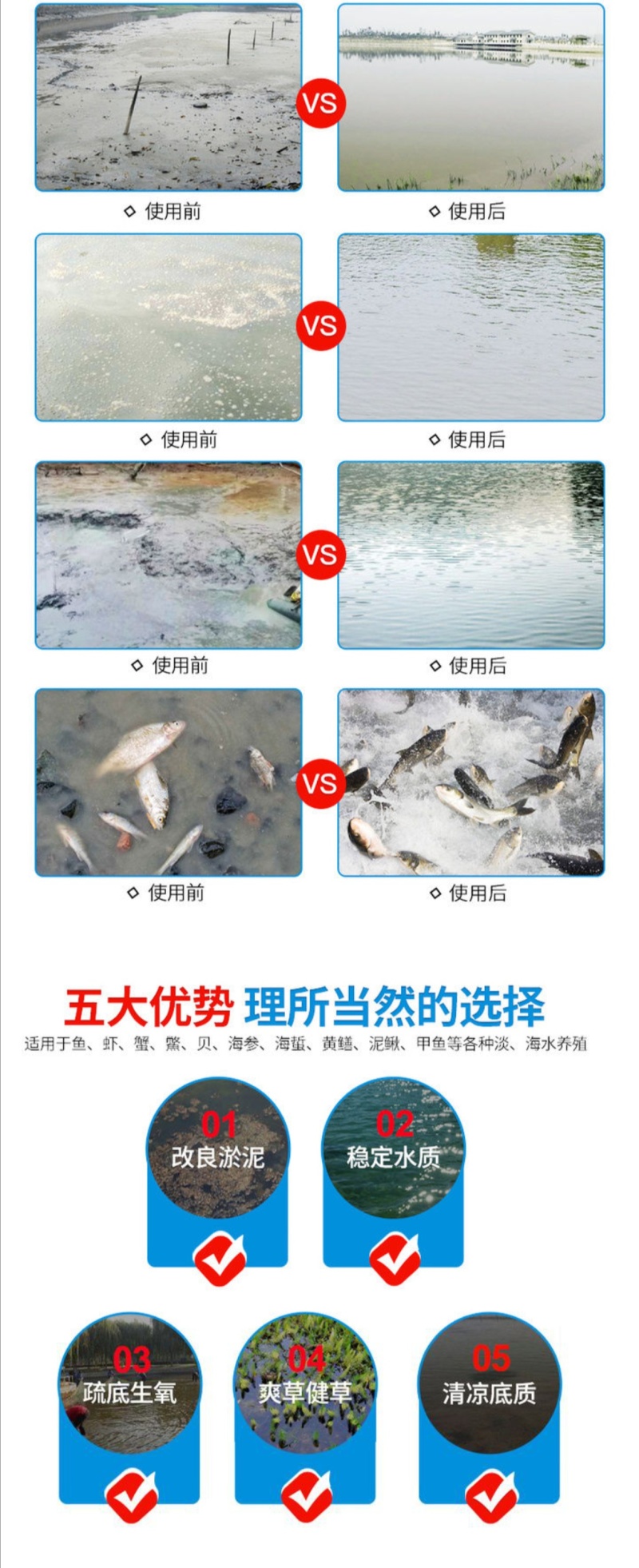 超强改底片水产养殖过硫酸氢钾龙虾蟹鱼塘净水剂增氧除臭调水