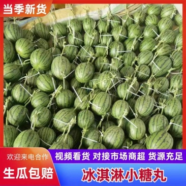 精品小糖丸西瓜，2k，货源充足，电商团购市场代发