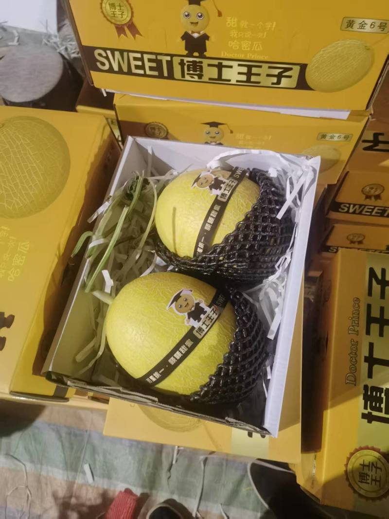 黄金蜜瓜黄二五凤金6号糖度高口感脆对接各大电商