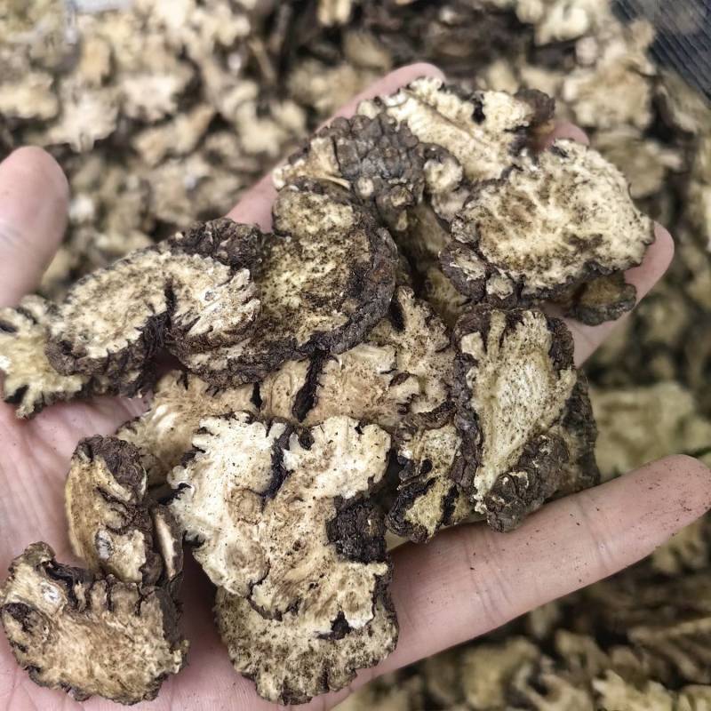 川芎川芎片无硫纯干各种规格