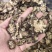 川芎川芎片无硫纯干各种规格