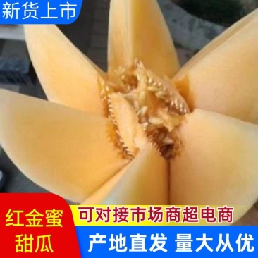 精品脆梨红金蜜甜瓜，甜度高，口感佳，价格实惠，产量大。