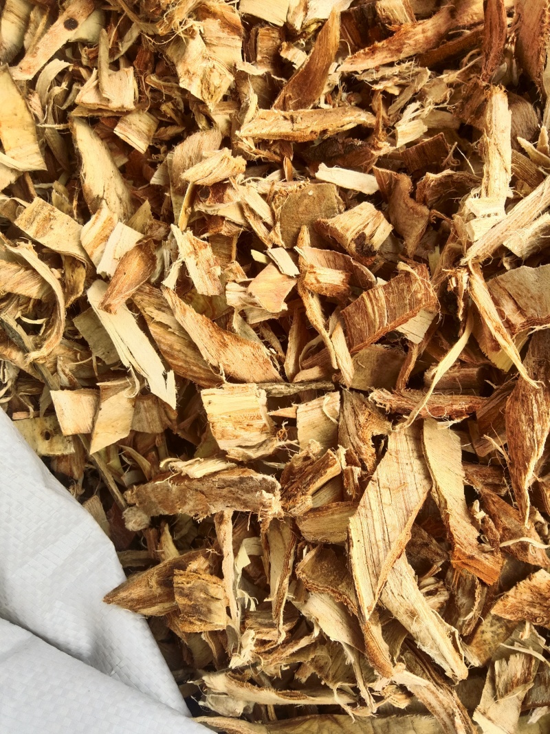 榆白皮，榆树皮，榆树外皮，榆树皮，