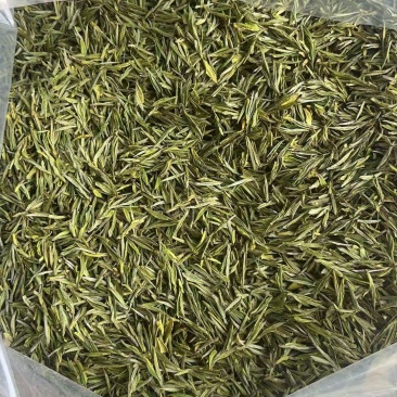 浙江安吉白茶湖州头采新茶安吉白茶