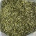 浙江安吉白茶湖州头采新茶安吉白茶