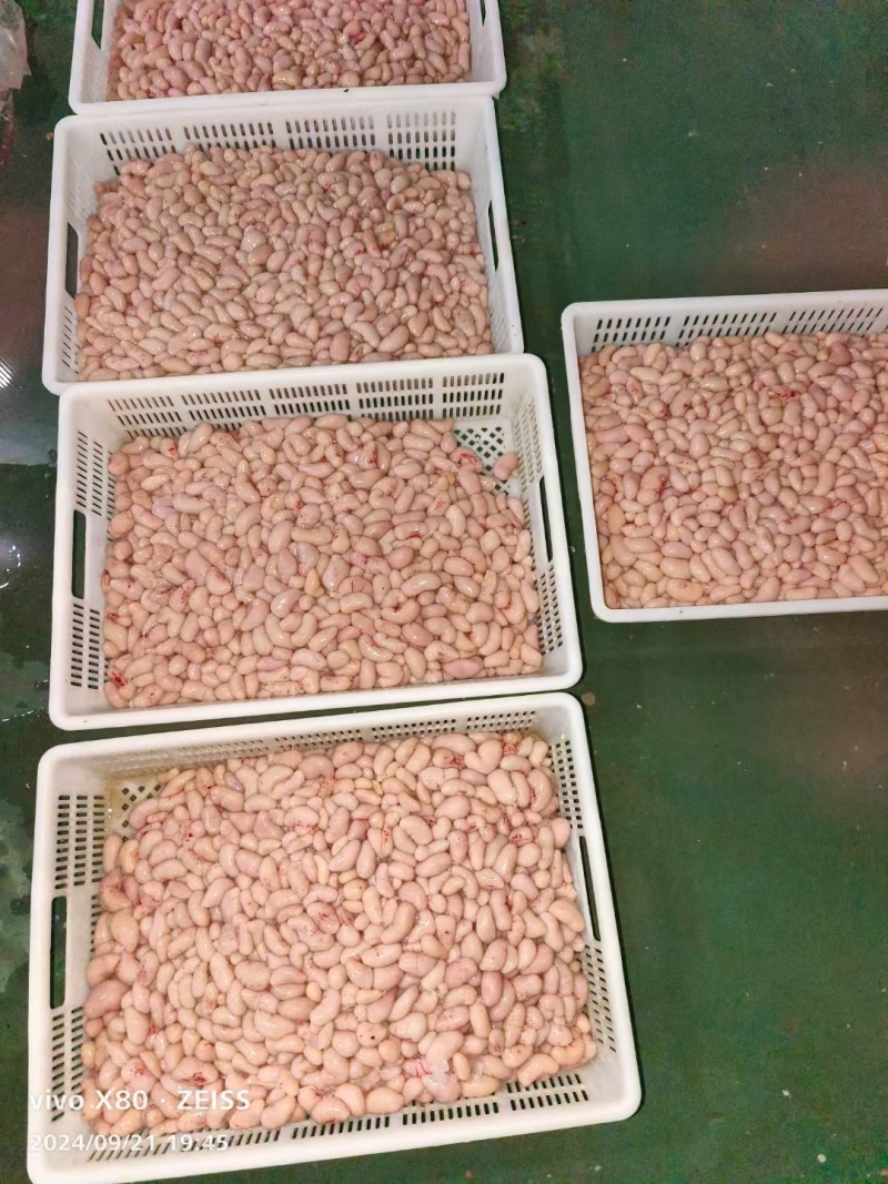 鸡腰子