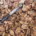 木香云南干货切片选货量大从优欢迎选购