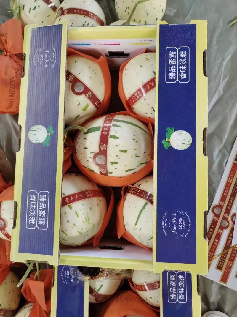 蜜露甜瓜上市中，口感好，诚信为本