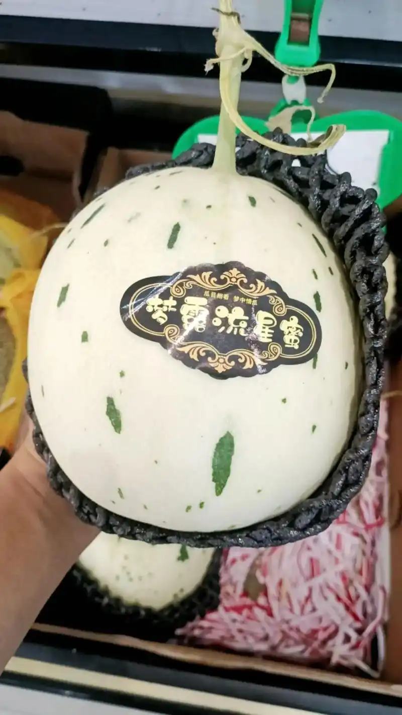 蜜露甜瓜上市中，口感好，诚信为本