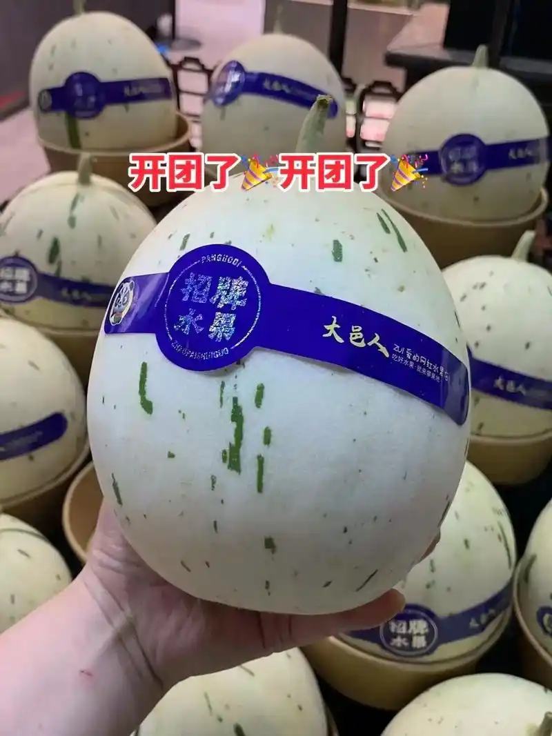 蜜露甜瓜上市中，口感好，诚信为本