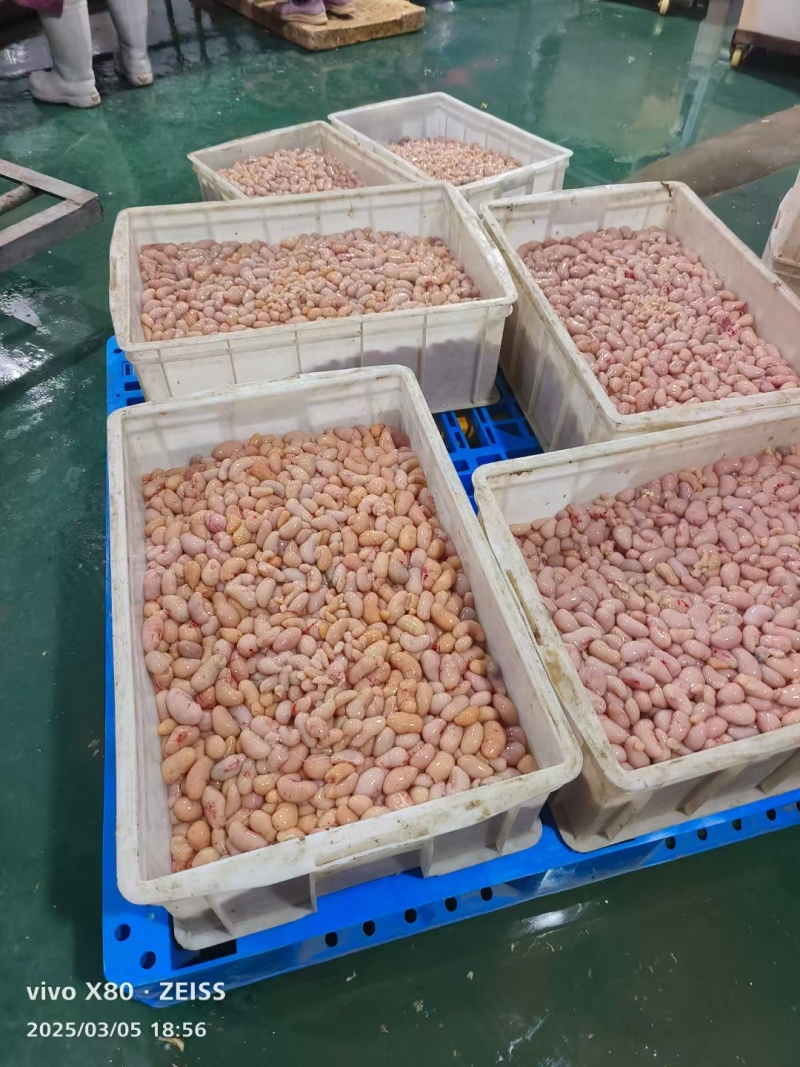 鸡腰鸡肾每天屠宰场新鲜精品货，发货装货一条龙