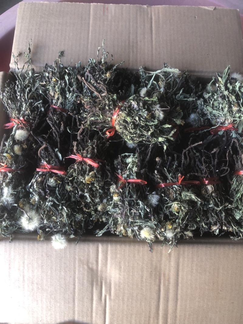 水洗蒲公英，带根，装箱子，可以看东西怎么样