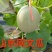 山东莘县鲁厚甜网纹瓜，，可出口，质量保证诚信经营