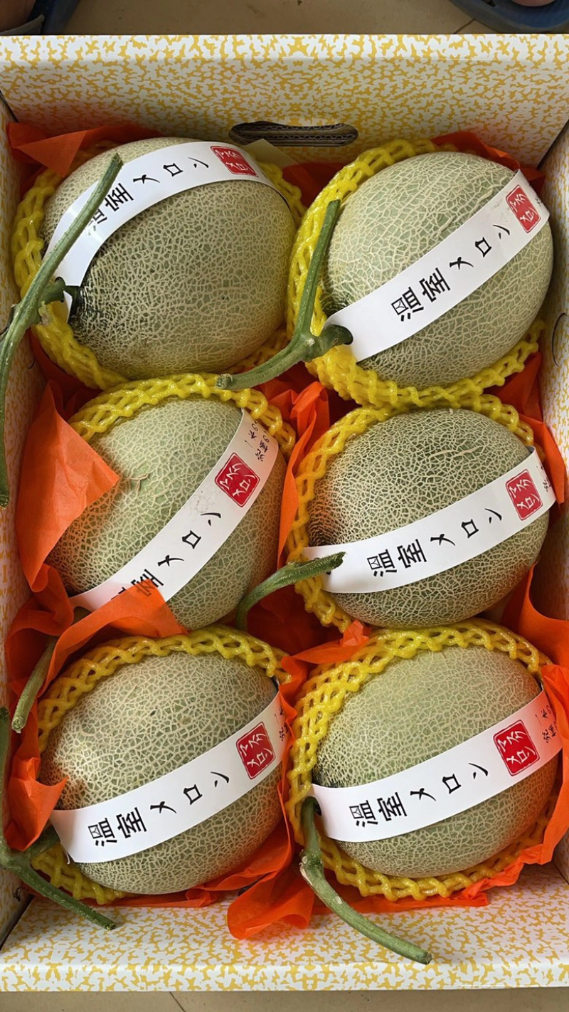 山东莘县鲁厚甜网纹瓜，，可出口，质量保证诚信经营